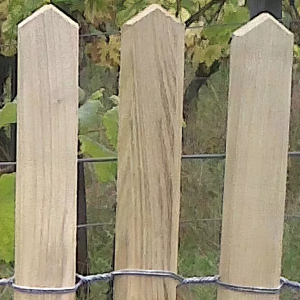 ganivelles en bois de robinier plantées devant des vignes