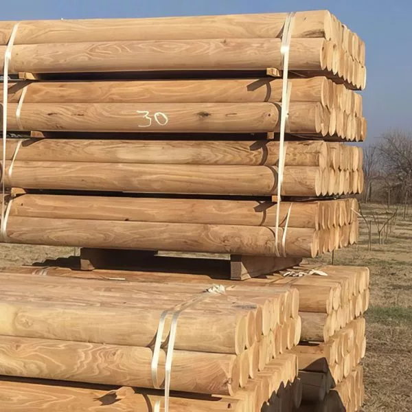 poteaux en bois de robinier massif stockés